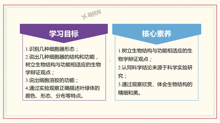 2.3 细胞质是多项生命活动的场所 ppt课件-2023新浙科版（2019）《高中生物》必修第一册.pptx_第3页