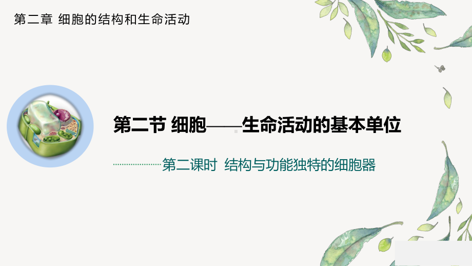 2.2.2 结构与功能独特的细胞器 ppt课件-2023新苏教版（2019）《高中生物》必修第一册.pptx_第1页