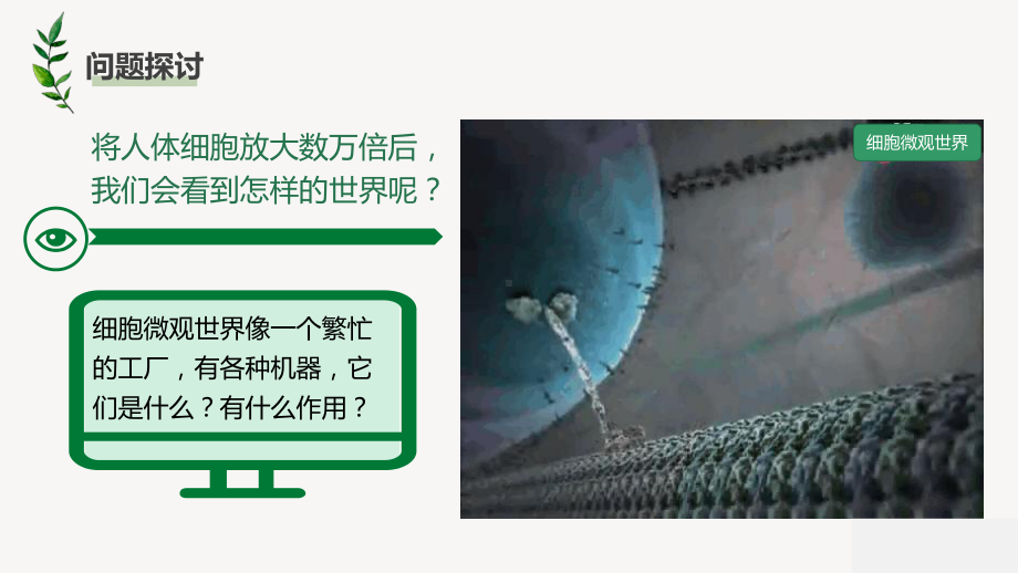 2.2.2 结构与功能独特的细胞器 ppt课件-2023新苏教版（2019）《高中生物》必修第一册.pptx_第2页