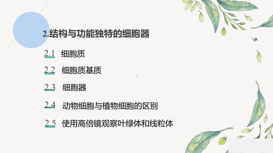 2.2.2 结构与功能独特的细胞器 ppt课件-2023新苏教版（2019）《高中生物》必修第一册.pptx_第3页