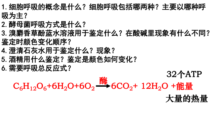 学考专题四复习 生物的有氧、厌氧呼吸及光合作用ppt课件-2023新浙科版（2019）《高中生物》必修第一册.pptx_第2页