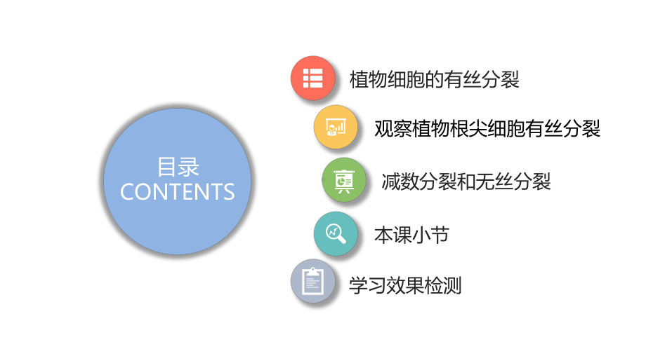 4.1.2 植物细胞的有丝分裂、减数分裂和无丝分裂 ppt课件-2023新苏教版（2019）《高中生物》必修第一册.pptx_第2页