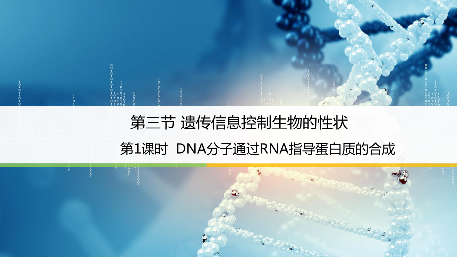 2.3.1 DNA分子通过RNA指导蛋白质的合成 ppt课件(02)-2023新苏教版（2019）《高中生物》必修第二册.pptx_第1页