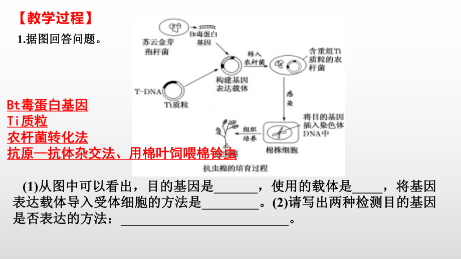 二轮复习ppt课件基因工程 -2023新人教版（2019）《高中生物》选择性必修第三册.pptx_第3页