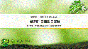 1.3.1 两对相对性状的杂交实验过程、解释 ppt课件-2023新苏教版（2019）《高中生物》必修第二册.pptx