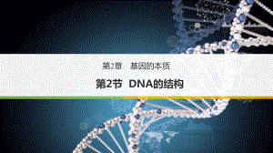 2.2 DNA的结构 ppt课件-2023新苏教版（2019）《高中生物》必修第二册.pptx