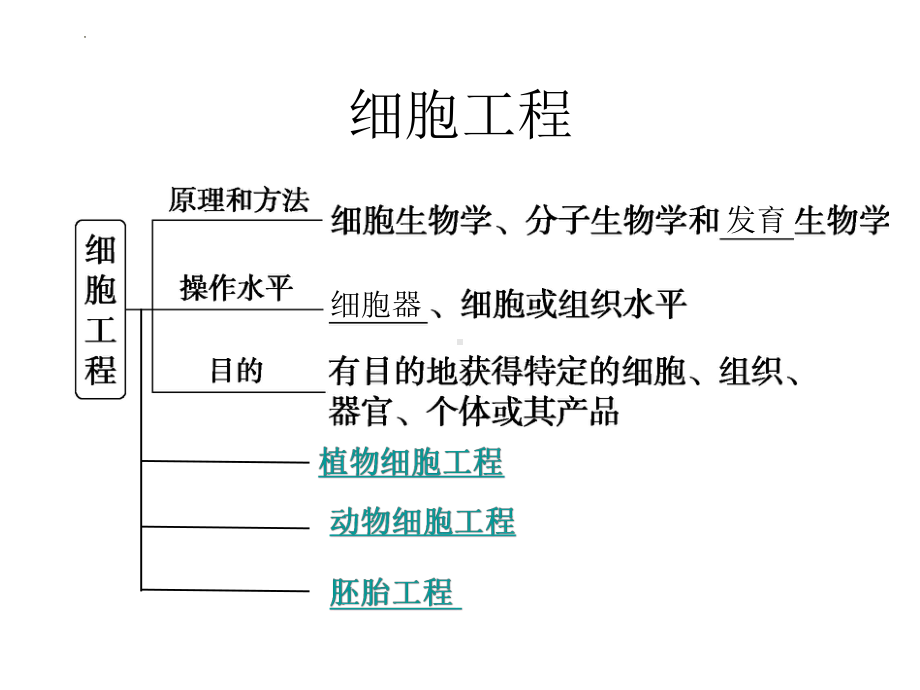 一轮复习ppt课件： 细胞工程-2023新人教版（2019）《高中生物》选择性必修第三册.pptx_第1页