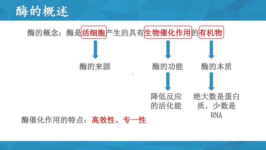 3.2.2 酶的催化功能受多种条件影响ppt课件-2023新浙科版（2019）《高中生物》必修第一册.pptx_第2页