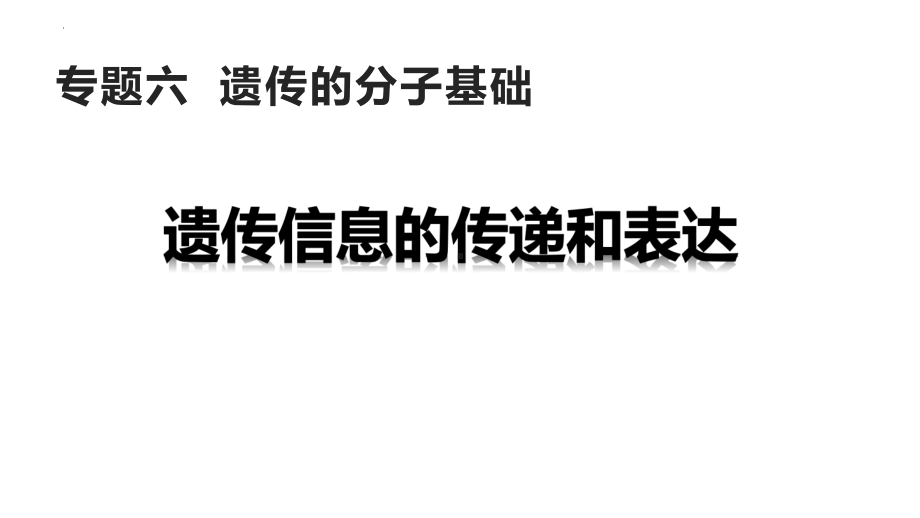 一轮复习生物：专题六遗传信息的传递ppt课件-2023新浙科版（2019）《高中生物》必修第二册.pptx_第1页