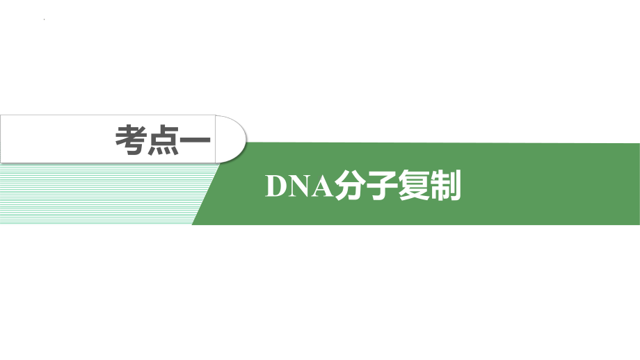 一轮复习生物：专题六遗传信息的传递ppt课件-2023新浙科版（2019）《高中生物》必修第二册.pptx_第3页