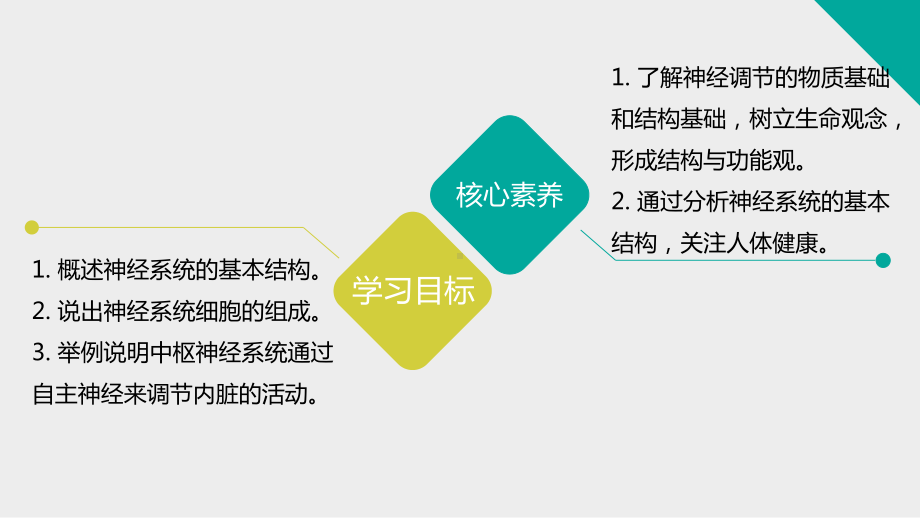 1.1.1神经系统的组成 ppt课件-2023新苏教版（2019）《高中生物》选择性必修第一册.pptx_第2页