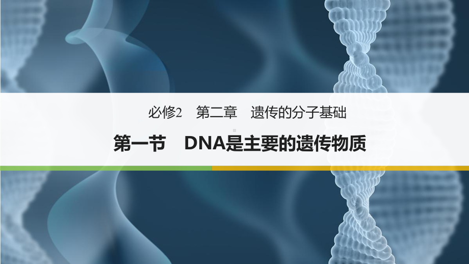 2.1 DNA是主要的遗传物质 ppt课件(02)-2023新苏教版（2019）《高中生物》必修第二册.pptx_第1页