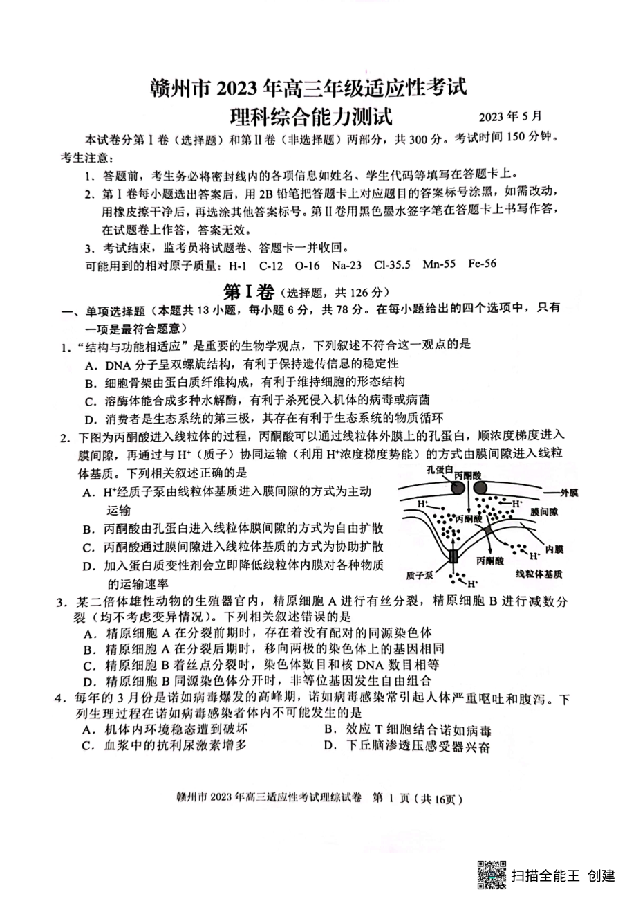 2023届江西省赣州市高三下学期理综试题 - 副本.pdf_第1页