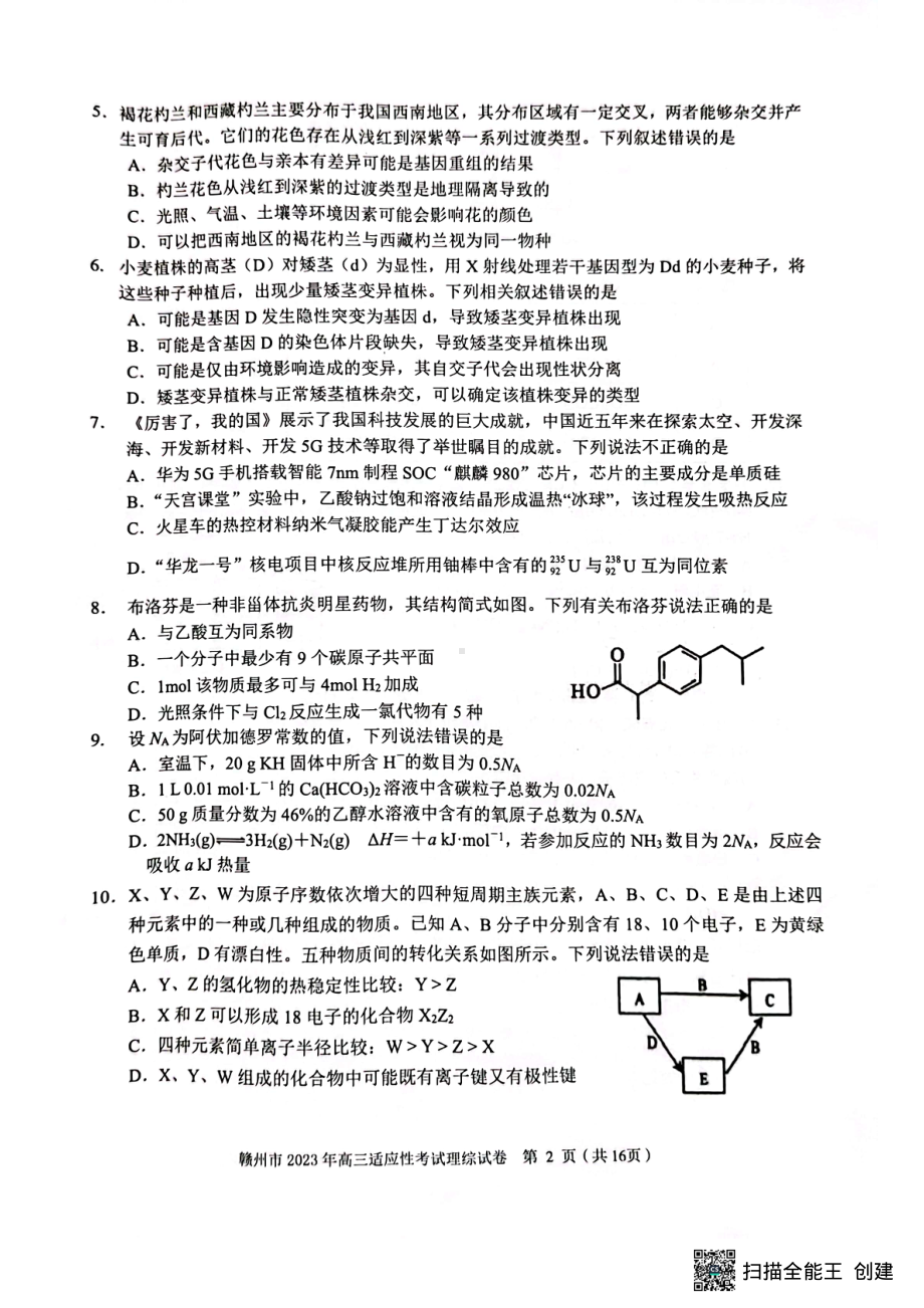 2023届江西省赣州市高三下学期理综试题 - 副本.pdf_第2页