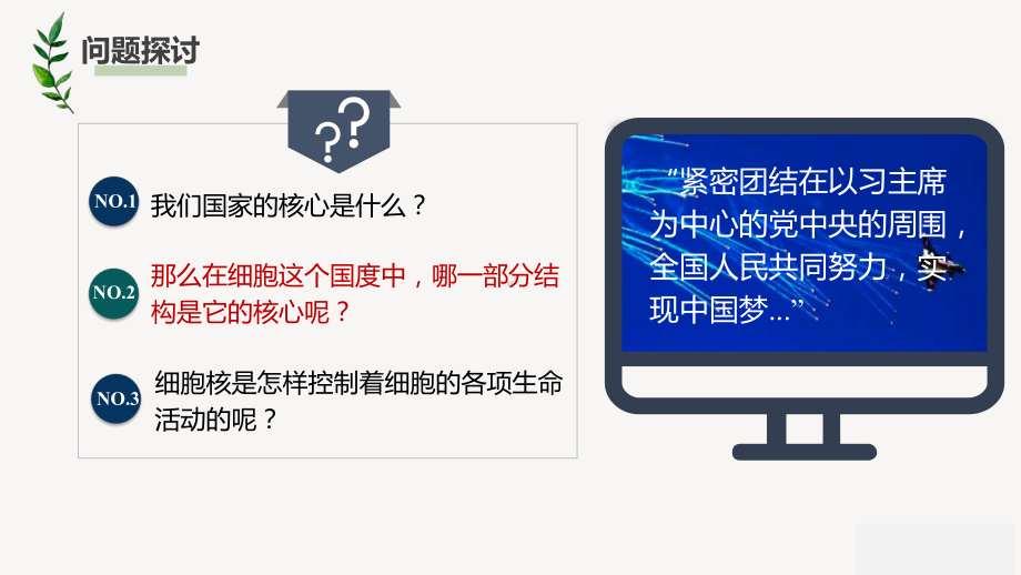 2.2.3 遗传信息主要储存在细胞核 ppt课件-2023新苏教版（2019）《高中生物》必修第一册.pptx_第2页