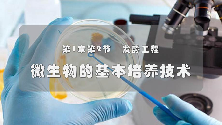 1.2+微生物的培养技术及应用(同名第三课时）ppt课件-2023新人教版(2019）《高中生物》选择性必修第三册.pptx_第1页