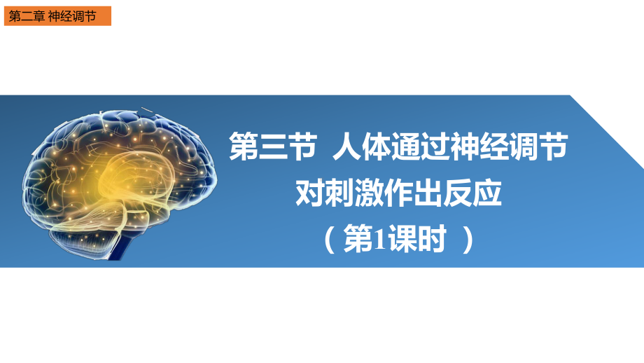 2.3 人体通过神经调节对刺激作出反应（第1课时）ppt课件-2023新浙科版（2019）《高中生物》选择性必修第一册.pptx_第1页