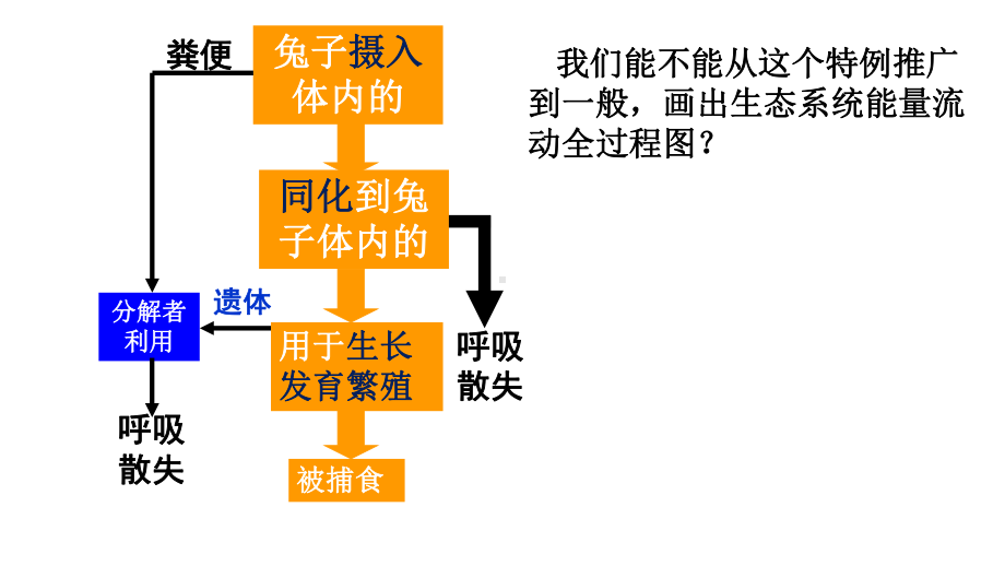 3.3生态系统中的能量单向递减流动ppt课件-2023新浙科版（2019）《高中生物》选择性必修第二册.pptx_第3页