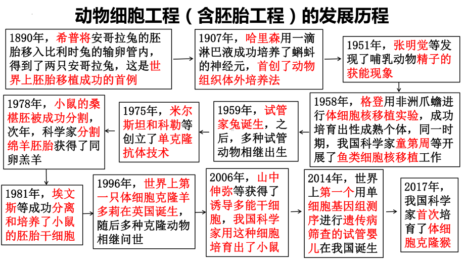 2.3动物细胞工程及其应用ppt课件-2023新苏教版（2019）《高中生物》选择性必修第三册.pptx_第3页