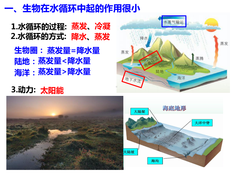 3.4生态系统中的物质能被循环利用ppt课件-2023新浙科版（2019）《高中生物》选择性必修第二册.pptx_第2页