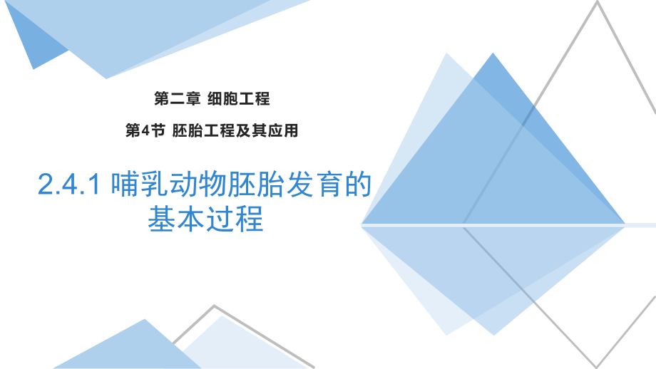 2.4.1 哺乳动物胚胎发育的基本工程ppt课件-2023新苏教版（2019）《高中生物》选择性必修第三册.pptx_第1页