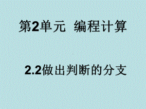 ：2.2做出判断的分支(共20张PPT)ppt课件-2023新教科版（2019）《高中信息技术》必修第一册.ppt