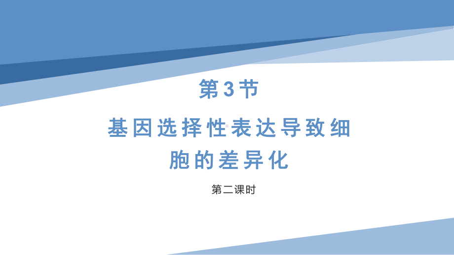 1.3基因选择性表达导致细胞的差异化-第二课时ppt课件-2023新沪科版（2019）《高中生物》必修第二册.pptx_第1页