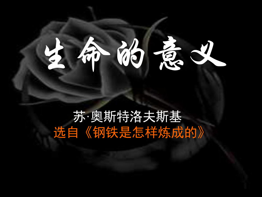 七年级《生命的意义》.ppt_第1页