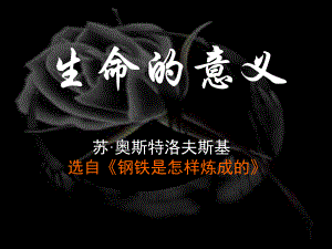 七年级《生命的意义》.ppt