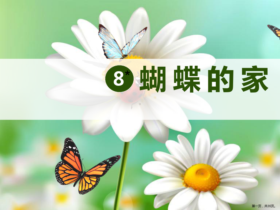 蝴蝶的家课件语文四年级上册.ppt_第1页