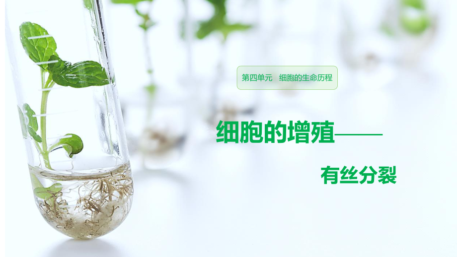 高中生物必修1《第6章细胞的增殖第1节体细胞的分裂一有丝分裂》80北师大课件.pptx_第1页