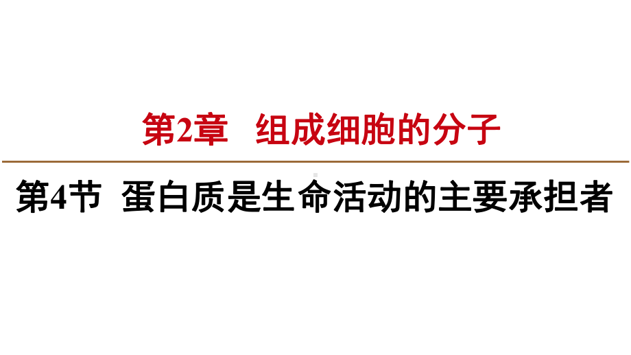 蛋白质生命活动的主要承担者课件.pptx_第2页