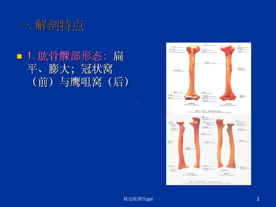 小儿肱骨髁上骨折1课件.ppt_第2页