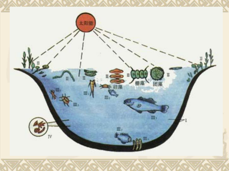 教科版五年级科学上册《做一个生态瓶》课件.ppt_第3页