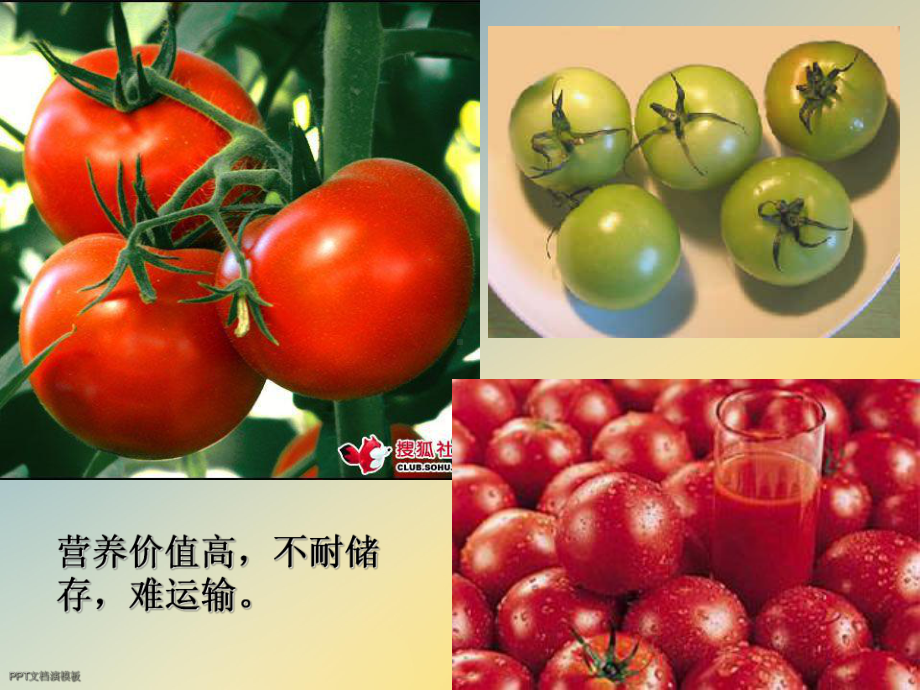 基因工程的应用[1]课件.ppt_第3页