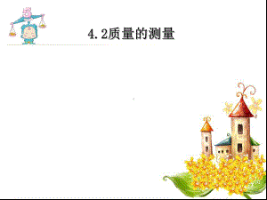 浙教版科学《质量的测量》课件4.ppt