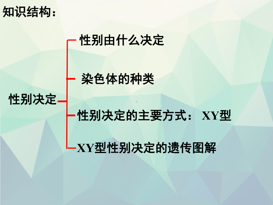 高三复习-性别决定和伴性遗传课件.ppt_第1页