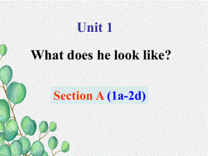 鲁教版七上Unit1-What-does-he-look-like-A(1a2d)课件.ppt