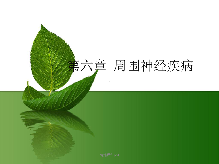 第章-周围神经病课件.ppt_第1页