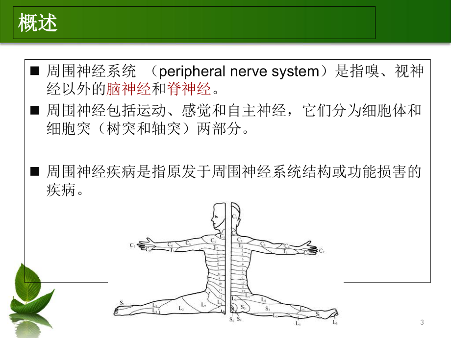 第章-周围神经病课件.ppt_第3页