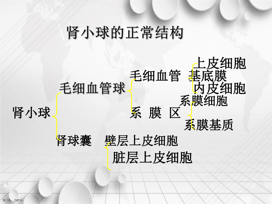 本科康护泌尿级讲课课件.ppt_第3页