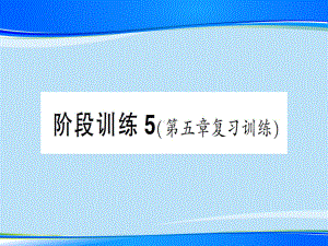 第五章-阶段训练5—2020年秋沪科版八年级上册物理(作业)课件.ppt