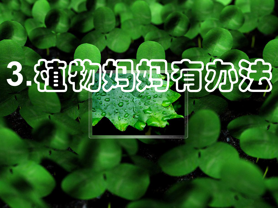 部编版小学语文二年级上册《植物妈妈有办法》8课件.ppt_第1页