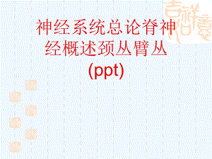 神经系统总论脊神经概述颈丛臂丛课件.ppt