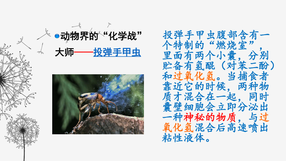 降低化学反应活化能的酶(一)课件.ppt_第1页