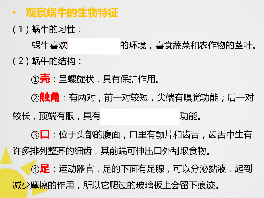 浙教版科学七级上册第二章观察生物复习课件.pptx_第3页