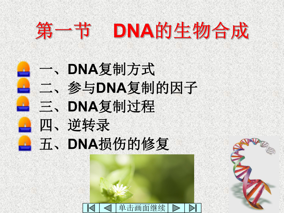 遗传信息传递与表达课件.ppt_第3页