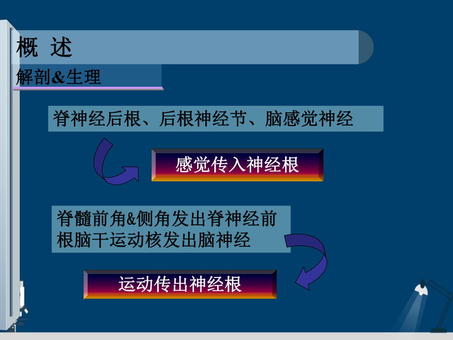 第神经内科本科教材第十五章周围神经疾病教学课件.ppt_第3页