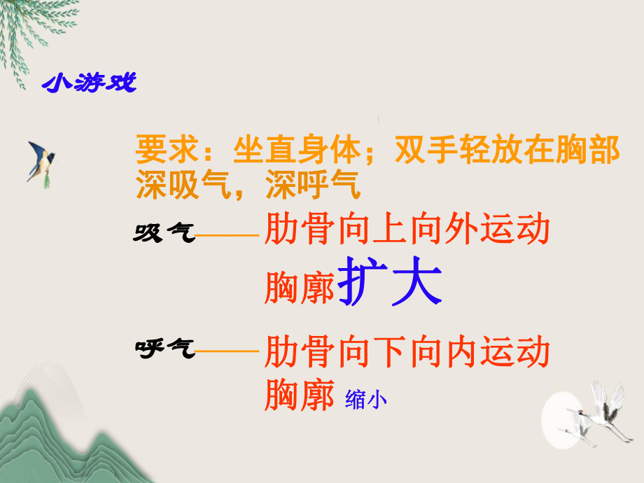 津南区某中学七年级生物下册第四单元第三章第二节发生在肺内的气体交换课件2新版新人教版2.ppt_第3页