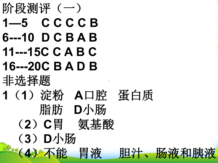 山东省邹城八高考级生物上册《人体与外界的气体交换》课件-新人教.ppt_第3页